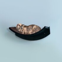 Wayfair best sale cat shelves